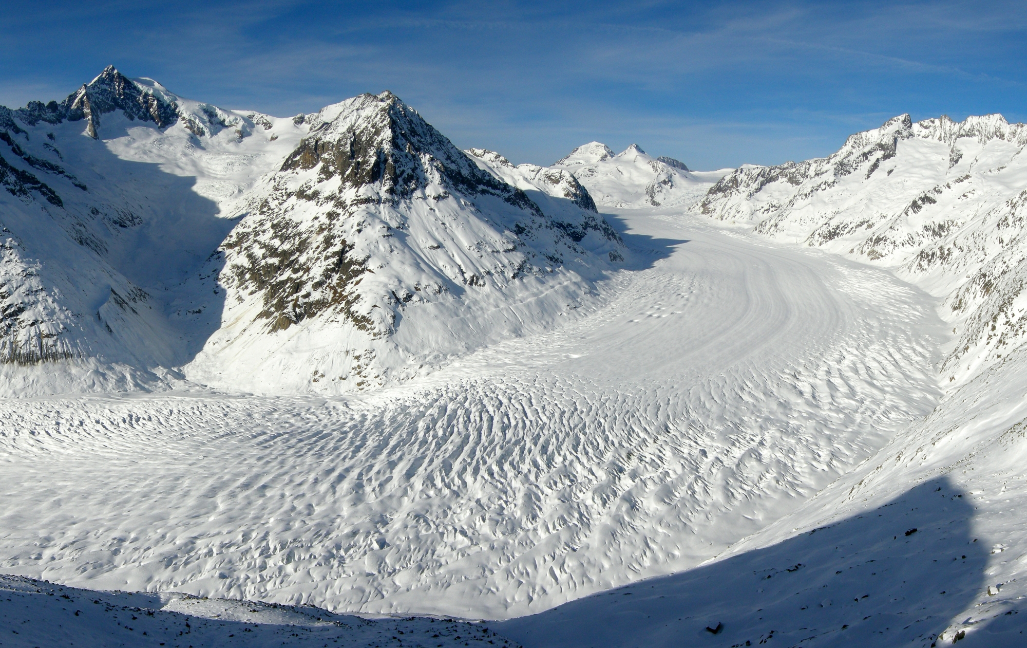 Le glacier d'Aletsch vu depuis l'Eggishorn : le fleuve de glace, strié de longues bandes sombres parallèles, décrit une large courbe entre des versants enneigés ; au fond se découpent les sommets des Alpes bernoises sous un ciel bleu.